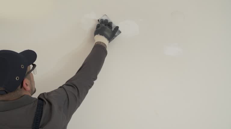 Best Pressure Washing and Painting Preparation  in Lake Camelot, IL